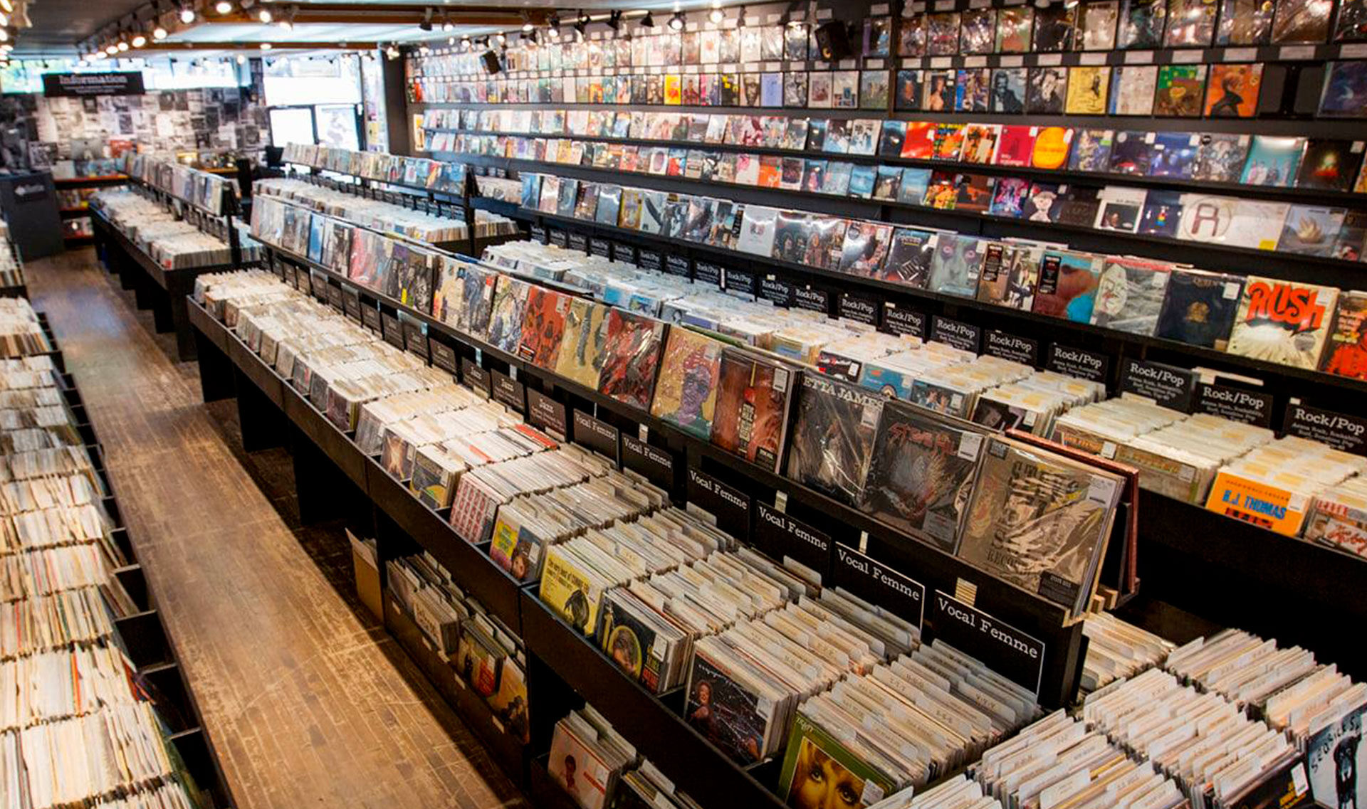Aux 33 Tours, le royaume des mélomanes et des collectionneurs de vinyles
